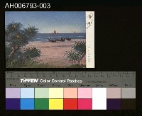藏品(台灣風景大安港海濱明信片)的圖片